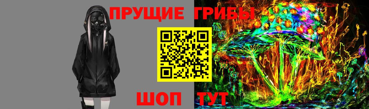 Карачаевск  Псилоцибиновые грибы GOLDEN TEACHER  Вход с VPN  Псилоцибиновые грибы ЛСД 