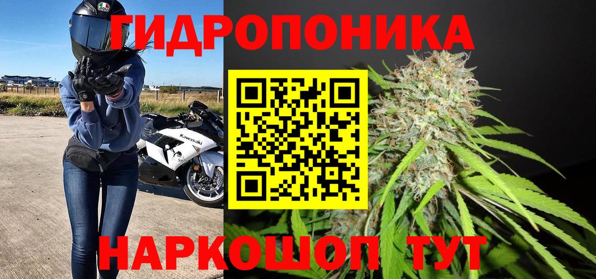 Шишки марихуана Ganja  Конопля планчик  Бошки Шишки семена  Вход с VPN  Карачаевск 